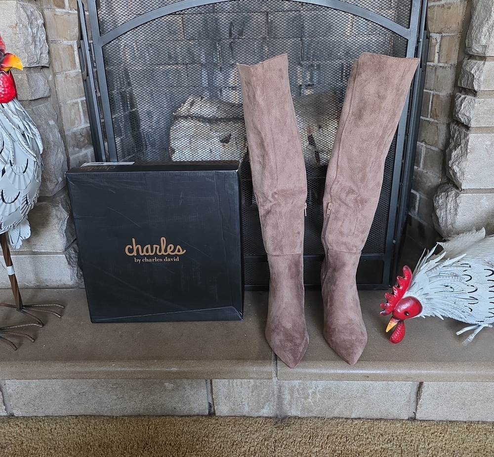 Charles By Charles David Women's Taupe Suede Knee-High Boots
